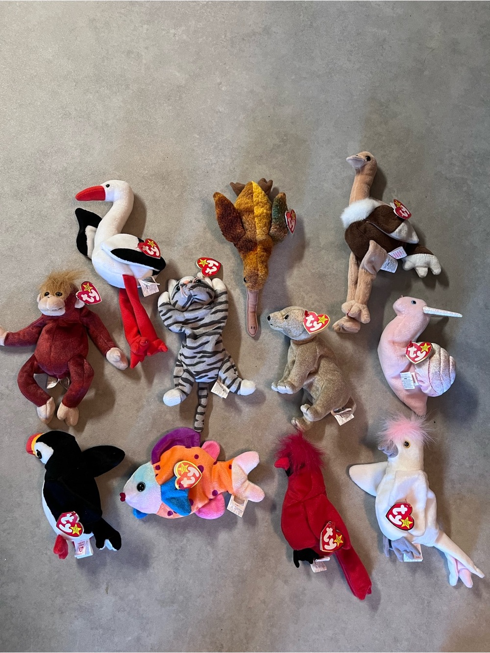 Ty Multicolor Plush Animal Beanie Buddies Collection
New. Tags on.